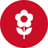 新鲜花材
